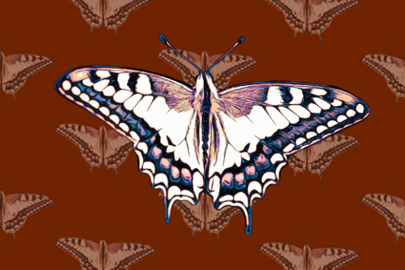 Download Colorful Butterfly with Spread out Wings - Premium Resources